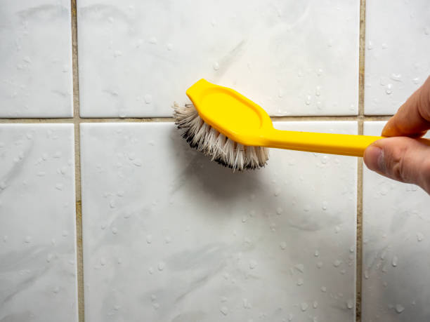 Best Fast Mold Removal  in Evart, MI