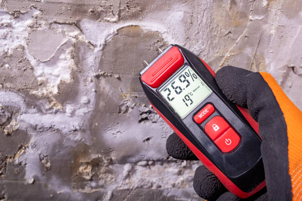 Water Damage Restoration in Evart, MI