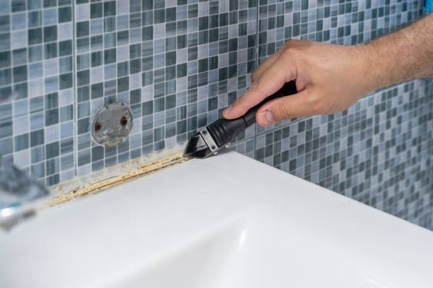 Best Best Mold Removal Companies  in Evart, MI
